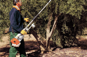 Ποιο ελαιοραβδιστικό να αγοράσω (?)