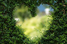 Αγροτικά εργαλεία: τι χρειάζεστε για τον κήπο σας